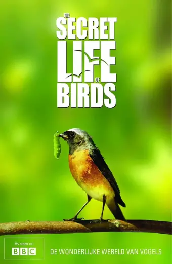 Bí ẩn cuộc sống loài chim (The Secret Life of Birds)