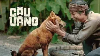 Cậu Vàng (The Old Man's Dog)