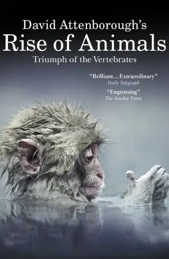 Coi phim David Attenborough's Rise of Animals: Triumph of the Vertebrates HD Vietsub - Tập 1