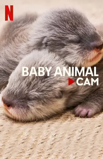 Coi phim Động vật bé cưng trên camera HD Vietsub (Baby Animal Cam)