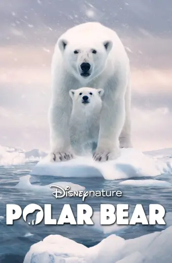 Coi phim Gấu Bắc Cực HD Vietsub (Polar Bear)