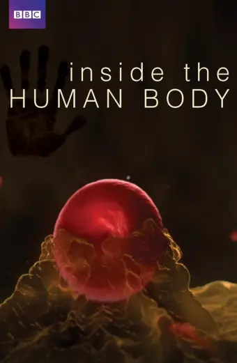 Coi phim Inside the Human Body HD Vietsub - Tập 04