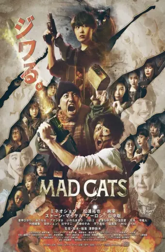 Coi phim Mèo Điên HD Vietsub (Mad Cats)