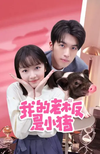 Coi phim Sếp Của Tôi Là Chú Lợn Nhỏ HD Vietsub (My Piggy Boss) - Tập 12