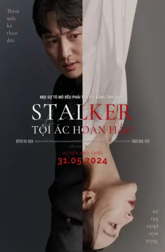 Stalker: Tội Ác Hoàn Hảo (Following)