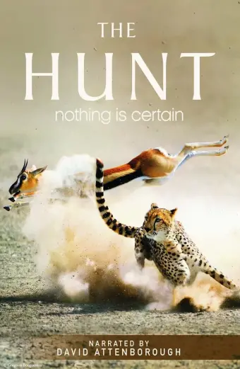 Coi phim The Hunt HD Vietsub (The Hunt)