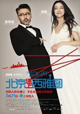 Truy tìm người hoàn hảo (Finding Mr. Right)