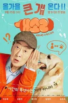 Coi phim Chú Chó Biết Tuốt HD Vietsub (Dog Knows Everything) - Tập 1