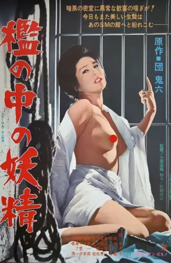 Coi phim Cổ Tích Trong Lồng HD Vietsub (Fairy in a Cage)